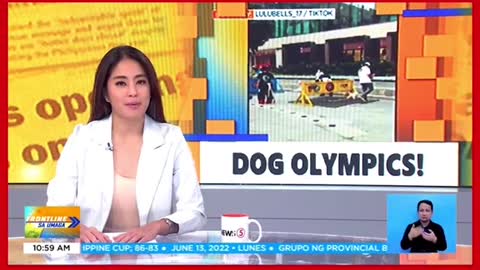 Fur-parent, to the rescuesa alagang napagod그saPetOlympics