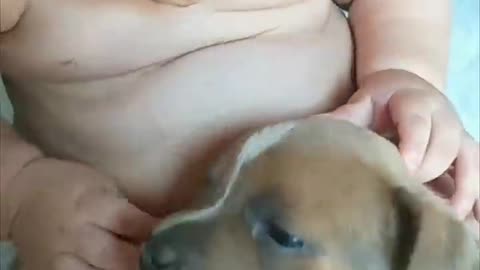 Adorable Baby Touches Sleepy Puppy as It Lays in His Lap