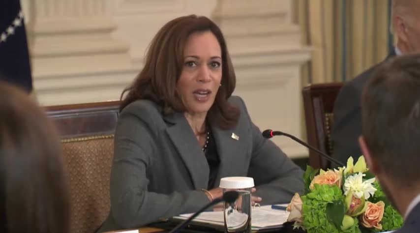 Kamala: We Need To Pass A National Abortion Law