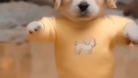 Moter Dancing Dog 🐶🐕funny 🤣 🤣😂#moter #dancing #dog #animaln#shorts #funny