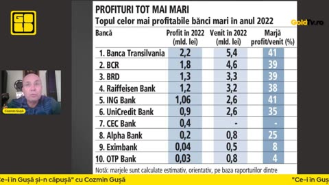 Gușă: Profiturile uriașe ale companiilor din energie și băncilor arată că românii au fost buzunăriți