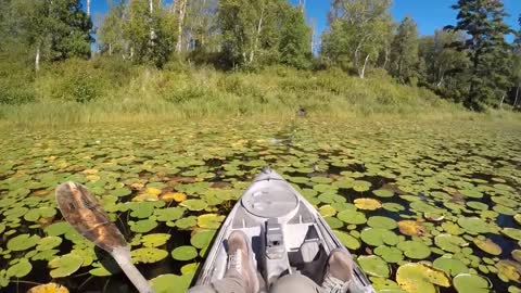 A Relaxing Day Of Frog Bassin'-4