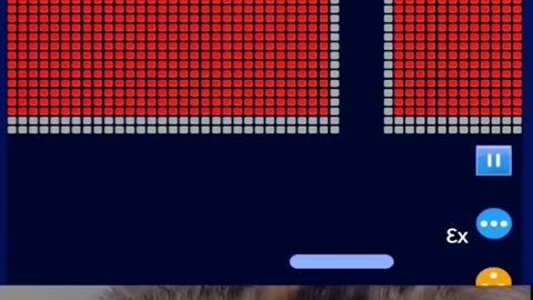 🐈‍⬛ 🐈 #cat #game #bricks #breaker #christell #funny