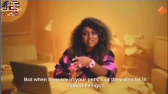 The Neverland's Are Bragging about the chip