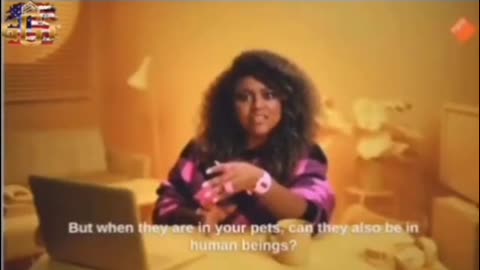 The Neverland's Are Bragging about the chip