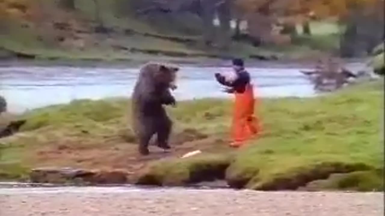 John West Salmon "Bear Fight" ad