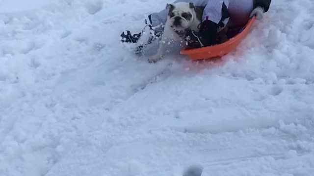 Sledding with Mumzy