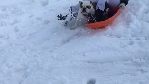 Sledding with Mumzy