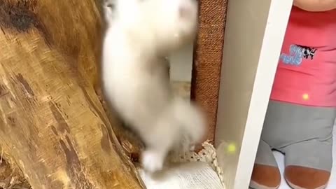 Suck and love to play