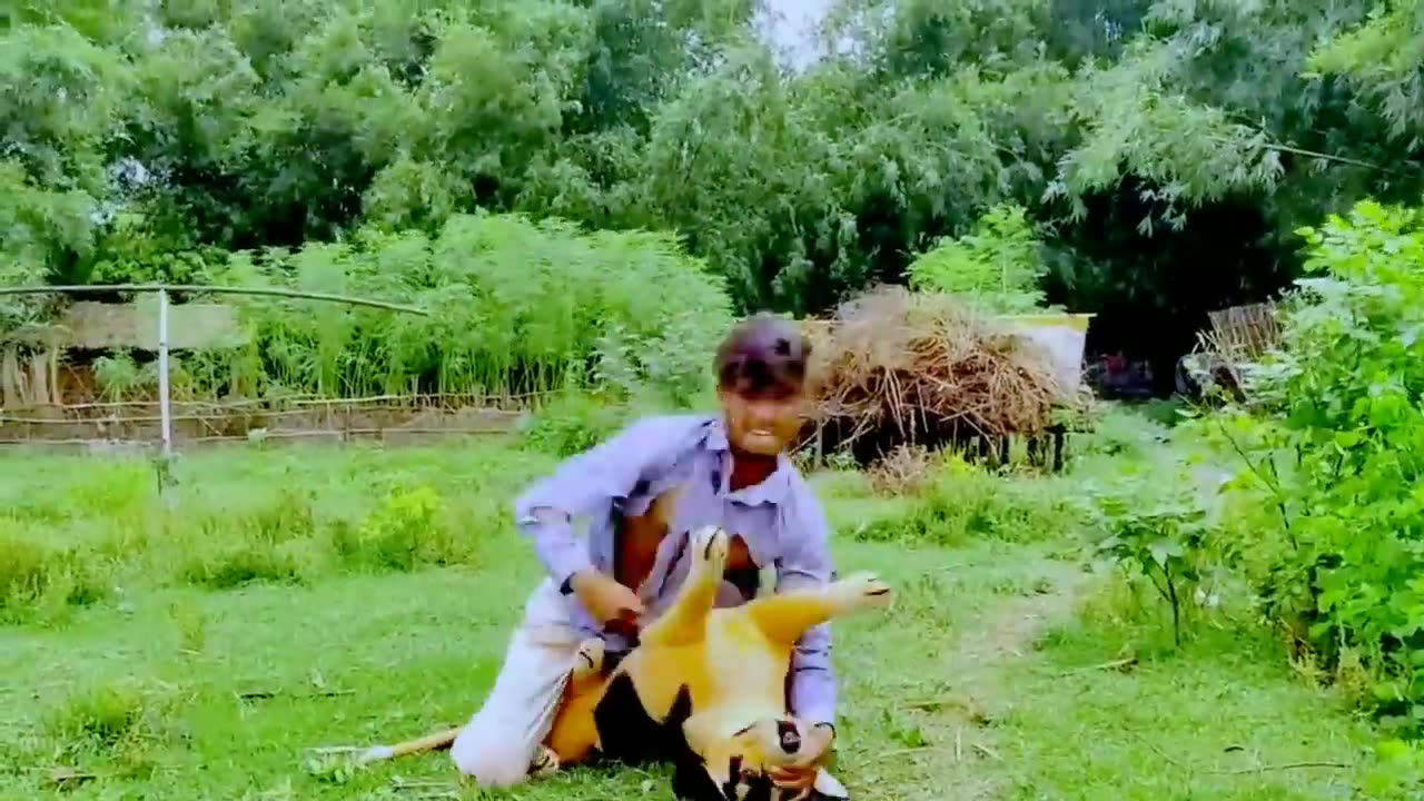 Must watch new funny 😂😂 comedy video