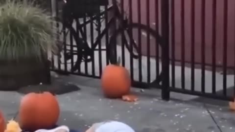 Last one #viral #shorts #funny #fails #laughgrotto