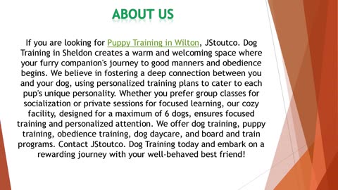 If you are looking for Puppy Training in Wilton