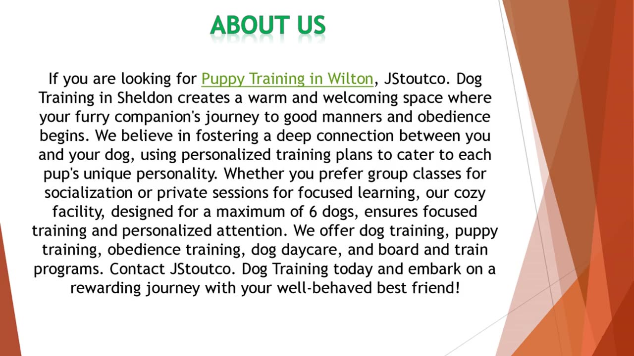 If you are looking for Puppy Training in Wilton