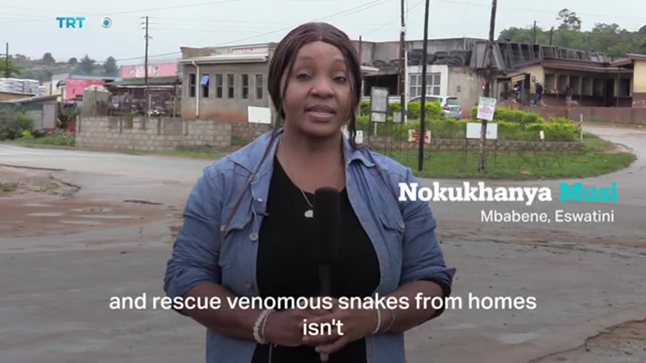 Africa Matters_ Antivenom campaigner taming Eswatini's snakebite scourge