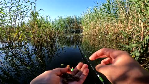 Fishing.