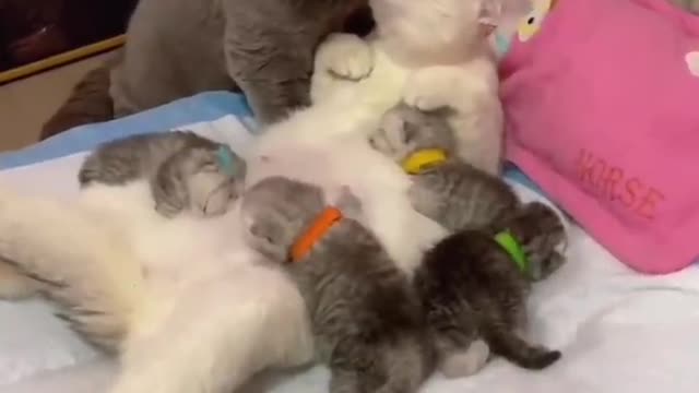 Family first... Daddy loves family..😻😻😍😍🎉