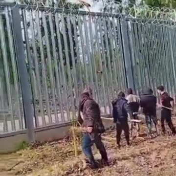 Aggressive foreigners at Belarus' border with Poland