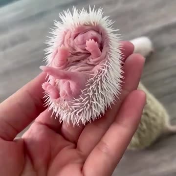 haha yeah don’t touch