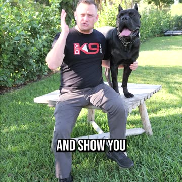 What Kind of Puppy Are We Getting?