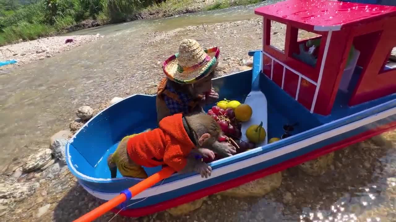 Monkey Baby Bim Bim and Obi go fishing on the boat and meet SHARK-13