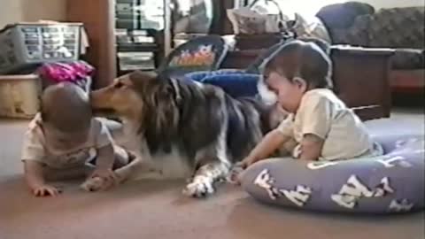 Cute Dogs And Adorable Babies_ Compilation