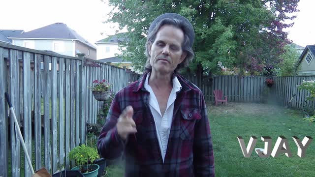 FIRST LIVE STREAM