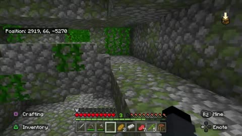 Minecraft survival