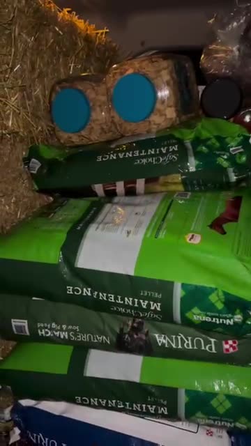 Amazing Patriots at work in NC