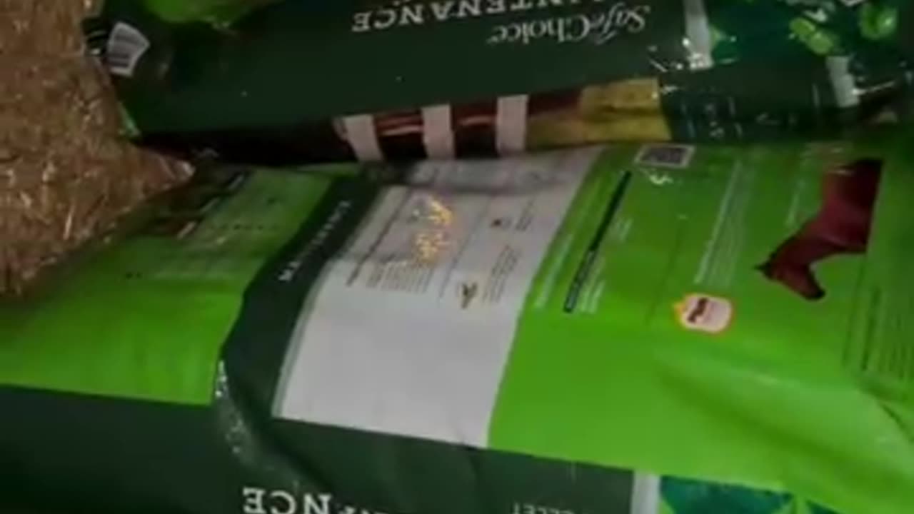 Amazing Patriots at work in NC