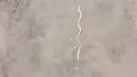 Wood that moves opposite of water flow on its own