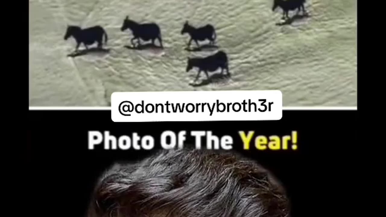 Photo of the year