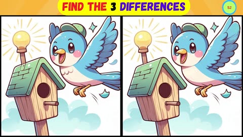 Find 3 Differences Quizzes for You