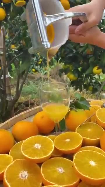 enjoy amazing fruits of china