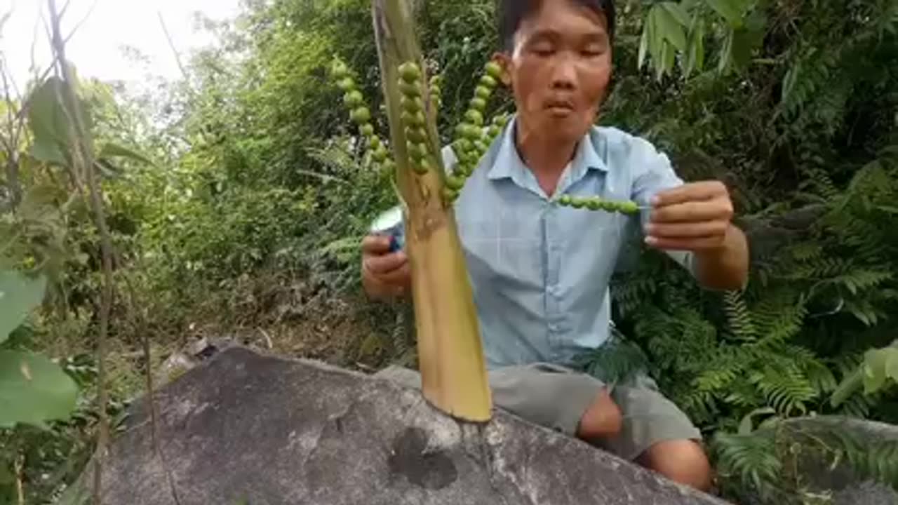 Xoài que ăn cùng sữa
