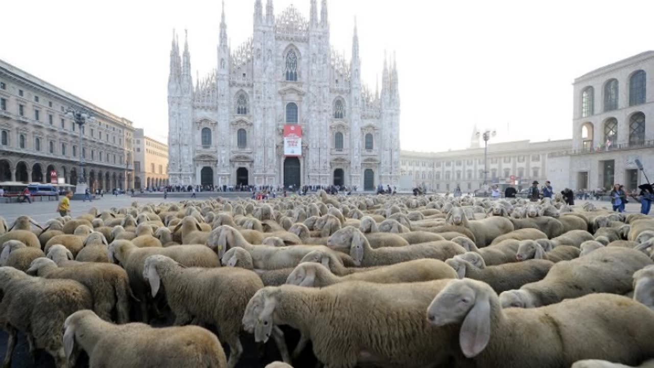 L'Ultimo Pastore - Colonna sonora & Registrazione Gaì anni 50 (CD film-documentario 2012)