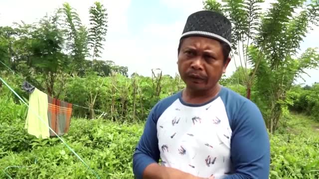 Indonesian Muslims attend prayers in shadow of deadly volcano