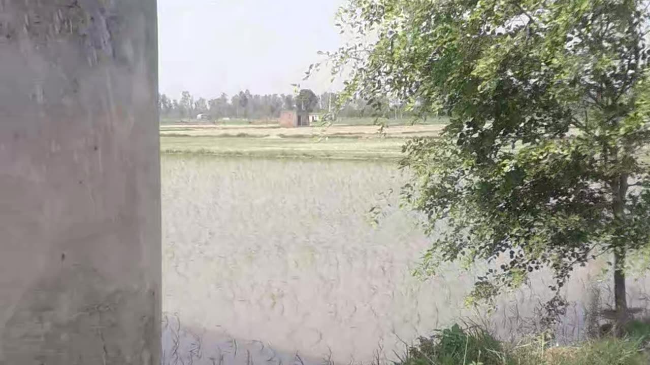 Farm over view
