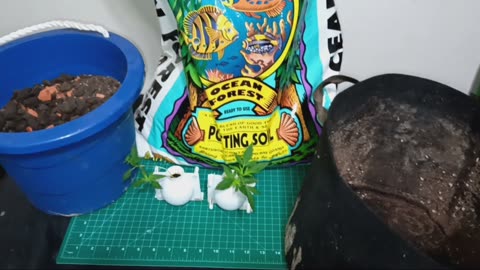 How to make Terra Preta