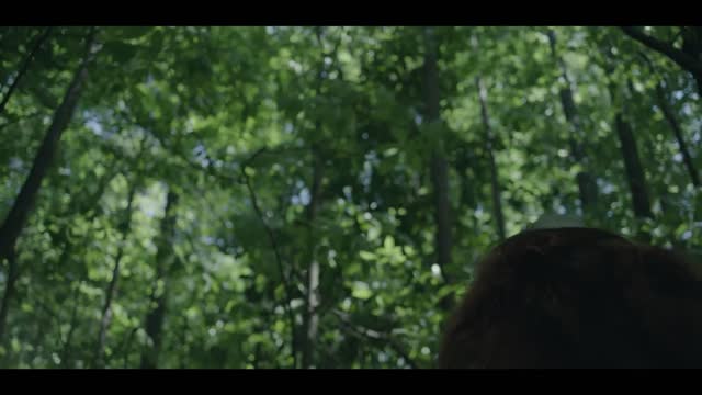 Chaos Walking (2021 Movie) Control The Noise Deleted Scene - Tom Holland, Daisy Ridley