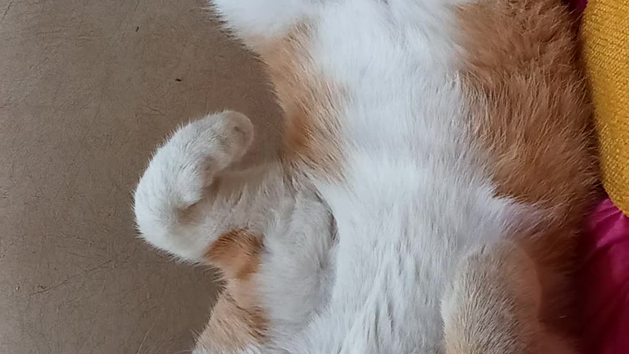 FUN AND CUTE