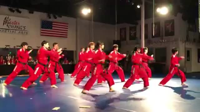 Taekwondo