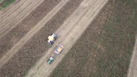 Fall Corn Harvesting Drone Video