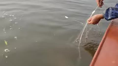 How to catch big fish #Fishing #shorts