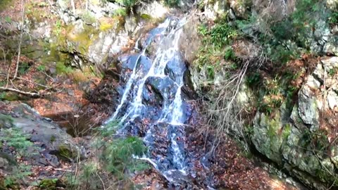 Bridal Veil Falls