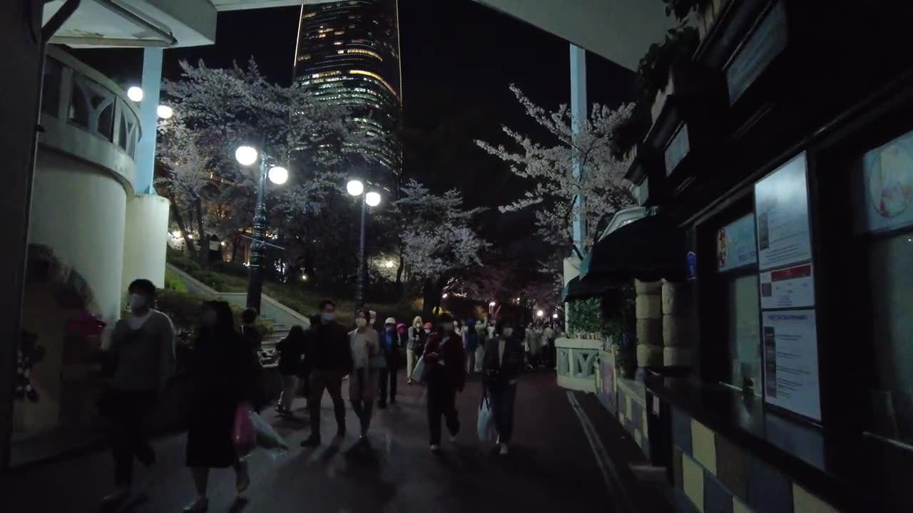 The world needs to know this | nightlife in korea | Cherry blossoms at Seokchon Lake #7