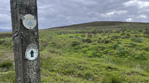 Henshaw Hill - Sergeant Law - White Craig - Darlees Rig - The Pike - Harrows Law