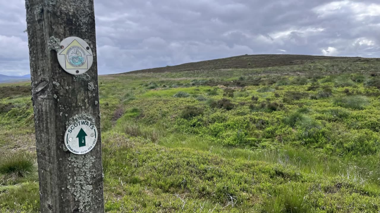 Henshaw Hill - Sergeant Law - White Craig - Darlees Rig - The Pike - Harrows Law