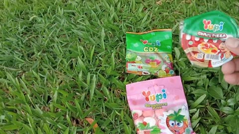 Hunting Animal Toys