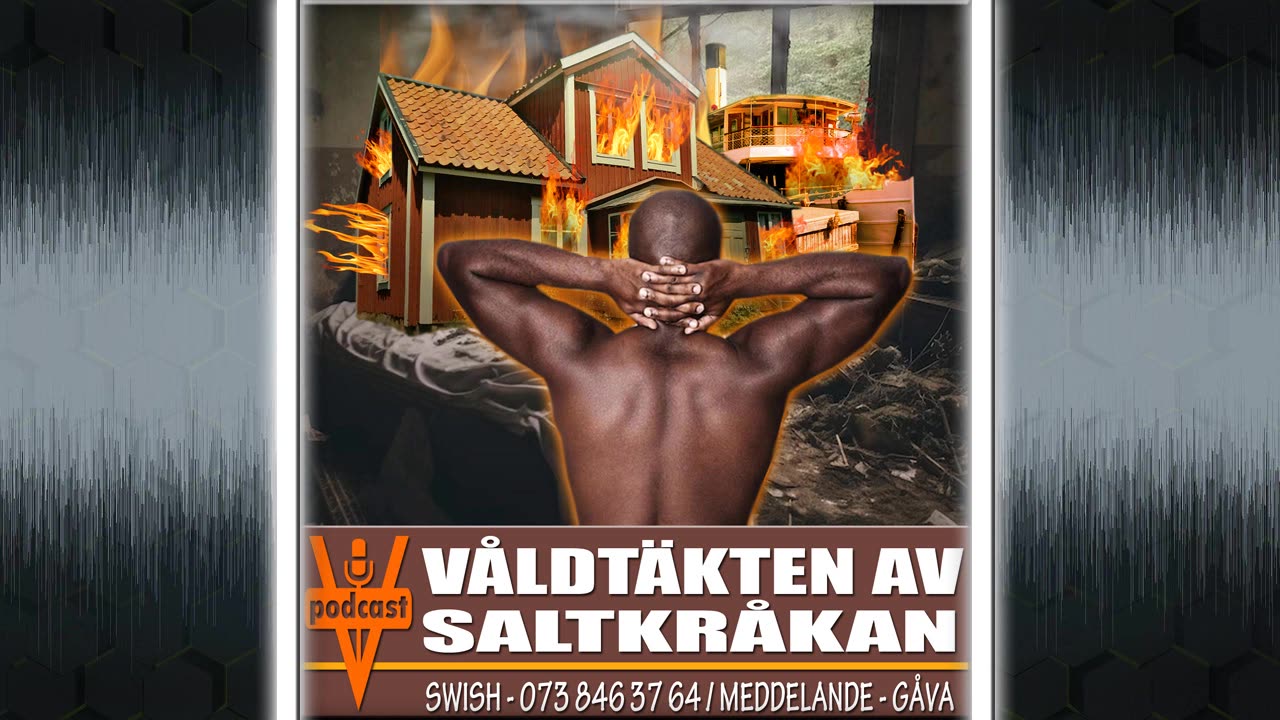 VÅLDTÄKTEN AV SALTKRÅKAN