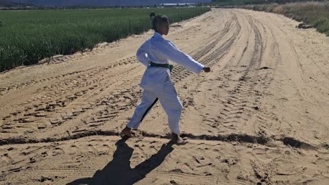 A12 - Kaylene Samuels - Green - Pinan Nidan